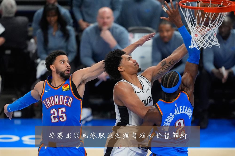 安赛龙羽毛球职业生涯与核心价值解析